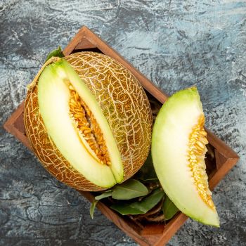 Galia Melon